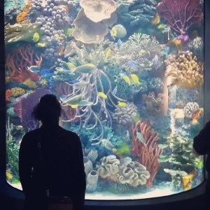 10865187_770401639697587_1644416169_n